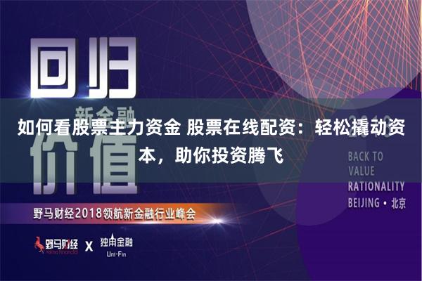 如何看股票主力资金 股票在线配资：轻松撬动资本，助你投资腾飞