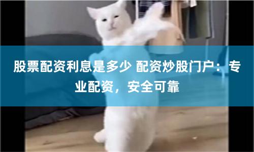 股票配资利息是多少 配资炒股门户：专业配资，安全可靠