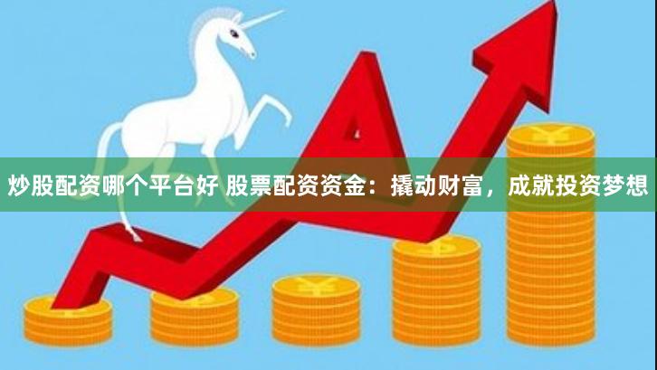 炒股配资哪个平台好 股票配资资金：撬动财富，成就投资梦想